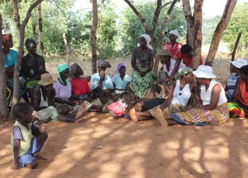A community gathering under trees