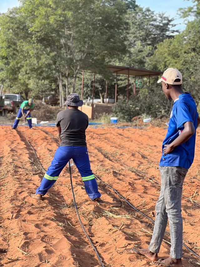 Two workers in blue overalls preparing a bed