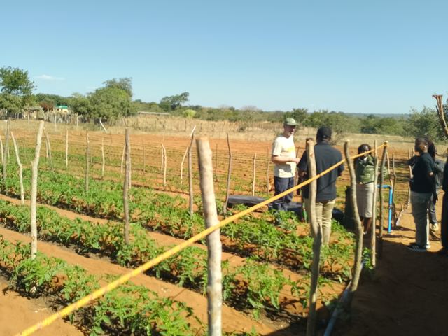 A group of visitors and staff walking along the plots beside a yellow guide rope